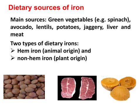 iron metabolism.pptx