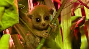 Steve Radack Community Center opens in west Harris County