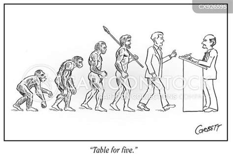 Image result for Human Evolution Cartoon