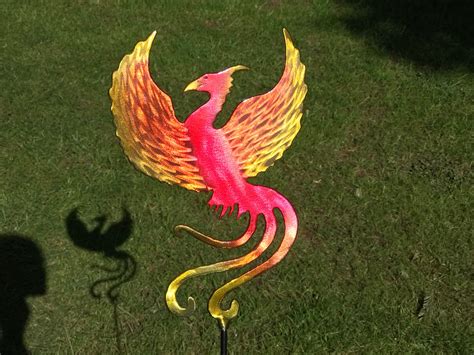Real Phoenix Bird
