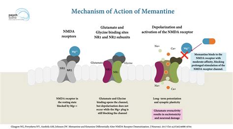 Linzess Mechanism Of Action at Shelly Ahmed blog