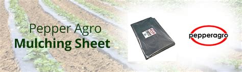 Pepper Agro Mulching Sheet (400 Sq. Feet) : Amazon.in: Garden & Outdoors
