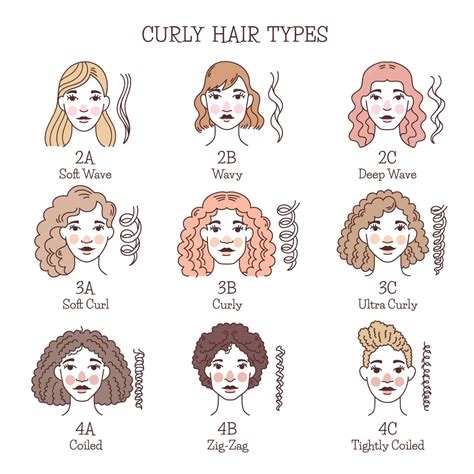 Loose Curly Hair, Curly Hair Types, Types Of Curls, Curl Types, Types ...