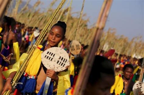 Reed Dance Festival in Swaziland - Photos,Images,Gallery - 29059