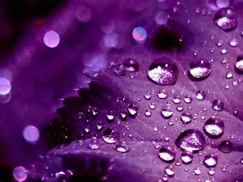 wallpaper hd colorful