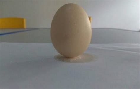 魔力科学小实验，桌面立1个鸡蛋不是难事，2个你试试？_重心_物体_重力