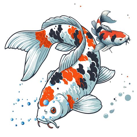 Koi illustration vector Koi fish background illustration Koi fish Clip ...