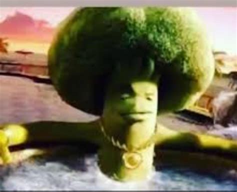 Avocado nikado : r/shid_and_camed