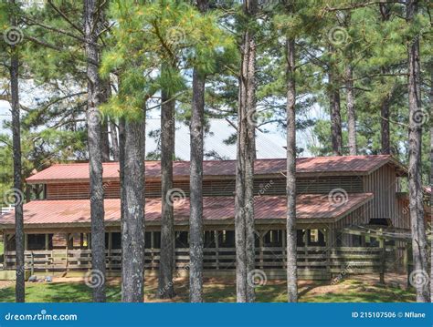 A Large Barn on a Farm in the Forest of Collins, Mississippi Stock Photo - Image of landscape ...