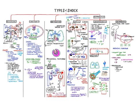 Shock Types 的图像结果