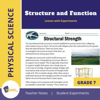 Image result for 7th Grade EC Structure