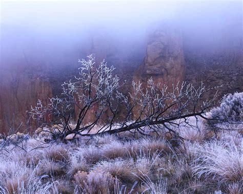 Image result for How to File Images