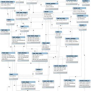 Image result for Relational Database Model Editor