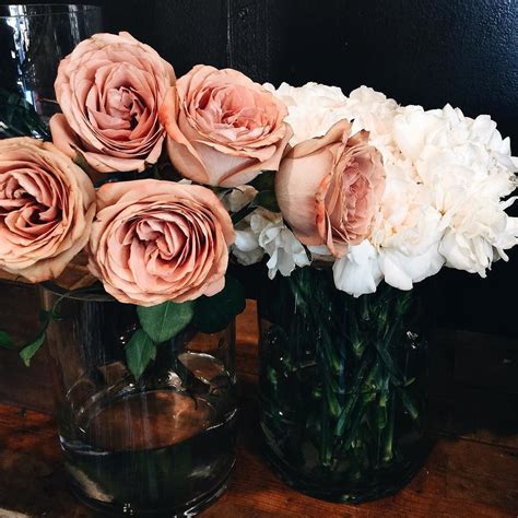 Shay Taylor @shaytaylor