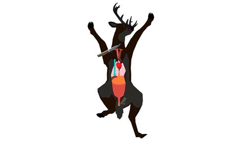 Field Dressing Birds 的图像结果