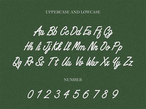 Image result for Script 2 Font