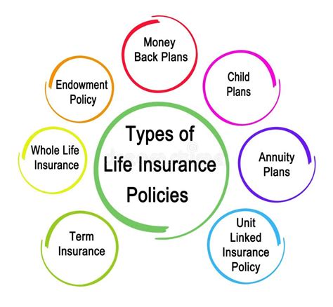 Life Insurance Explained 的图像结果