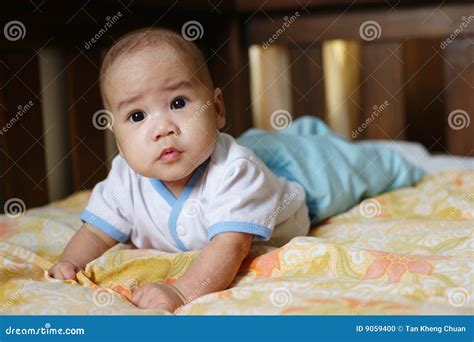 Asian Baby Boy stock photo. Image of chinese, infant, small - 9059400
