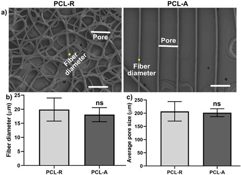 The Mechanosensing and Global DNA Methylation of Human Osteoblasts on ...