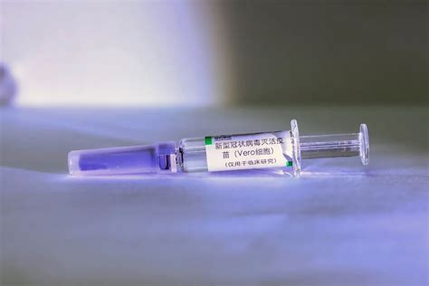 七种候选疫苗在路上了|中国生物_新浪财经_新浪网