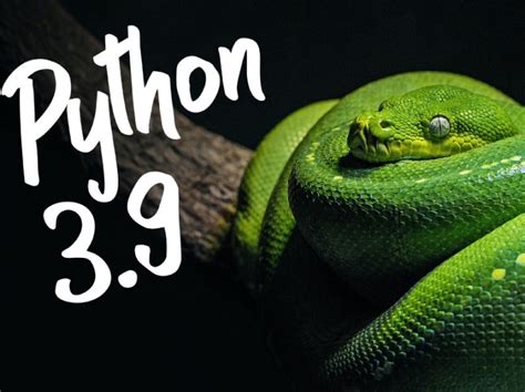 Image result for Download Python 3.9