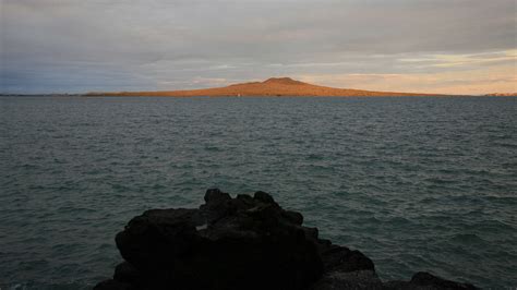 Places to Visit In Auckland | Things To Do In Auckland | TimesTravel