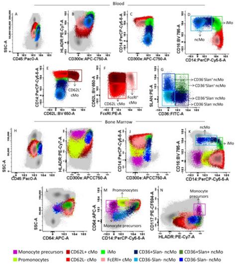 Cancers | Special Issue : Leukemia and Lymphoma Immunophenotyping