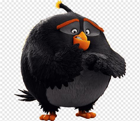 Image result for Black Angry Bird Exploding