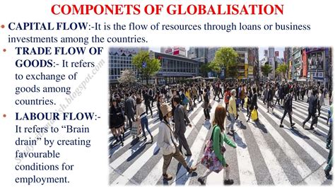Image result for Class 12th Globalisation