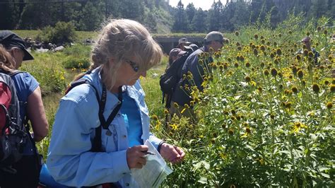 Training Aims to Improve USACE Regulators' Abilities in Identifying ...