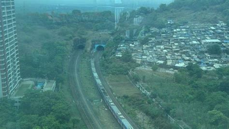 Stray cattle run over by local train near Mumbra; services hit