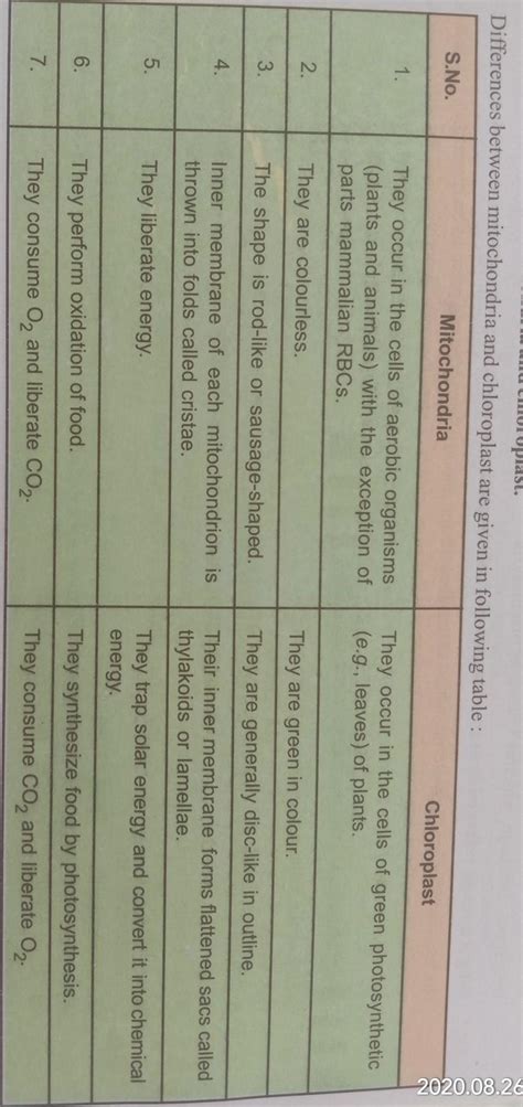 Difference between mitochondria and chloroplasts - Brainly.in