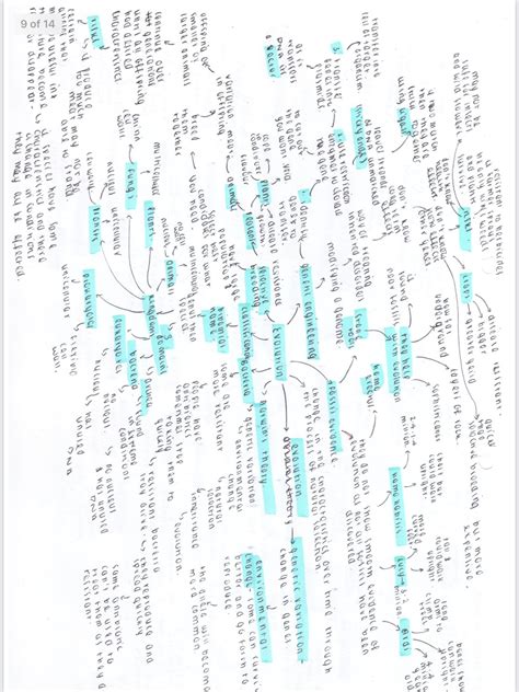 Biology Mind Map 的图像结果