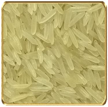 Pusa Basmati Rice