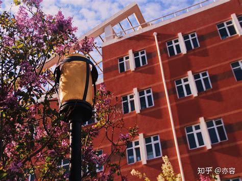 学校隆重举行2020届学生“云毕业典礼”-齐齐哈尔大学