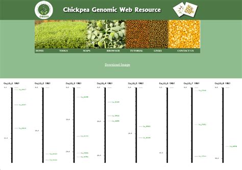 National Institute of Plant Genome Research