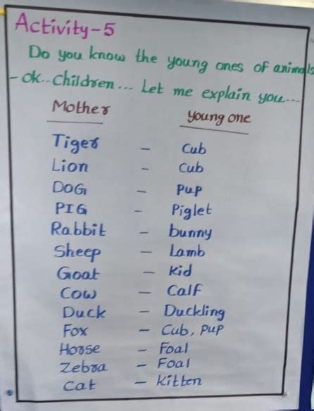 Image result for TLM English Lessons