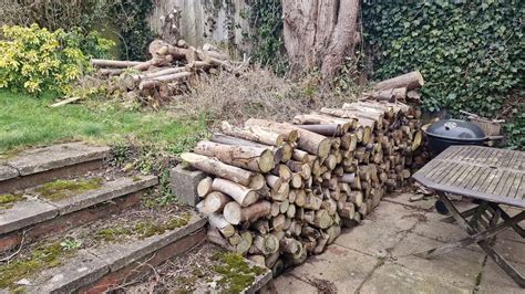 Image result for Easy Way Splitting Tree Trunks