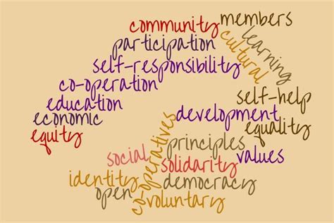 Co-operative Principles and Values 的图像结果