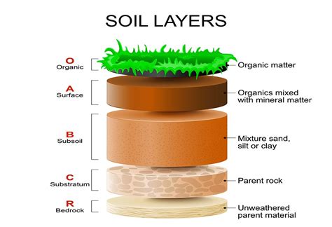 Soil Layers Science Project 的图像结果