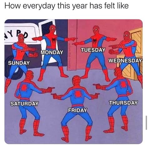 How everyday this year has felt like. Monday. Tuesday. Wednesday ...