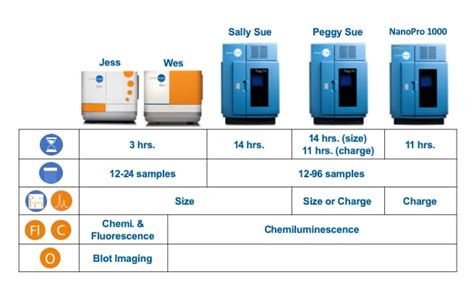 Image result for Compass Software ProteinSimple