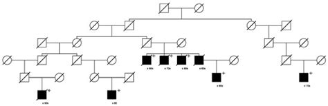 Cancers | Special Issue : Aggressive Prostate Cancer