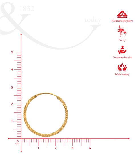 Buy Golden Hoop Earrings with Textured Shine – P. N. Gadgil & Sons Ltd