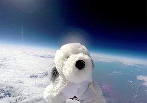 Rosa Parks primary resource - National Geographic Kids