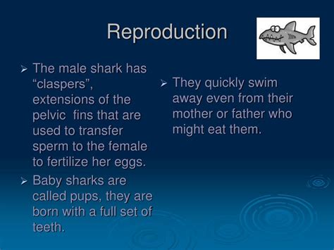 Image result for Sharks Reproduction