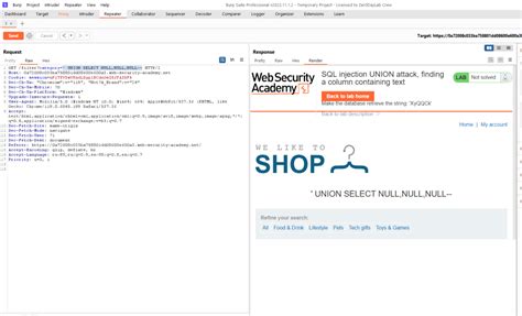 Image result for SQL Union Injection Examples