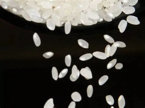 5 most expensiverice varieties in the world - World’s most expensive ...