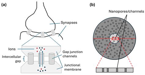 Composite Behavior of Nanopore Array Large Memristors