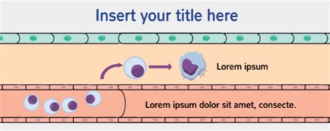Image result for Graphical Abstract Template